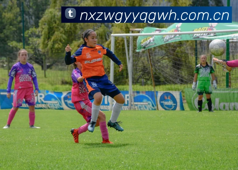 星空体育中国官方网站发展历程